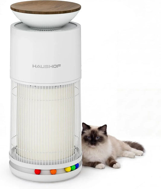 Purificatore d'aria, 24 V, HAUSHOF H13 4-in-1, Filtro HEPA